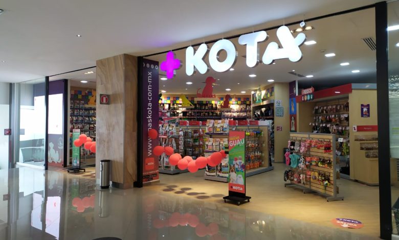 +Kota se declara en quiebra tras dificultades financieras