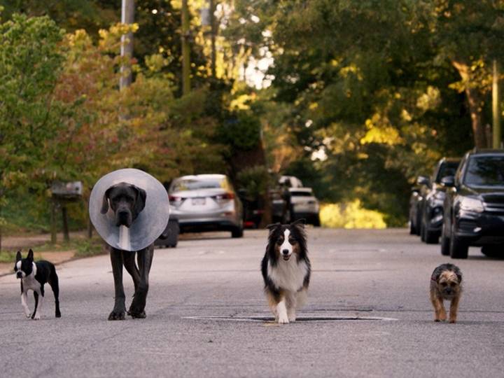 Llega al cine la película “Hijos de Perra”