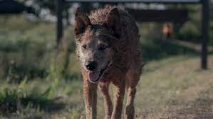 Primer vistazo a ‘Cementerio de Animales: el Origen’