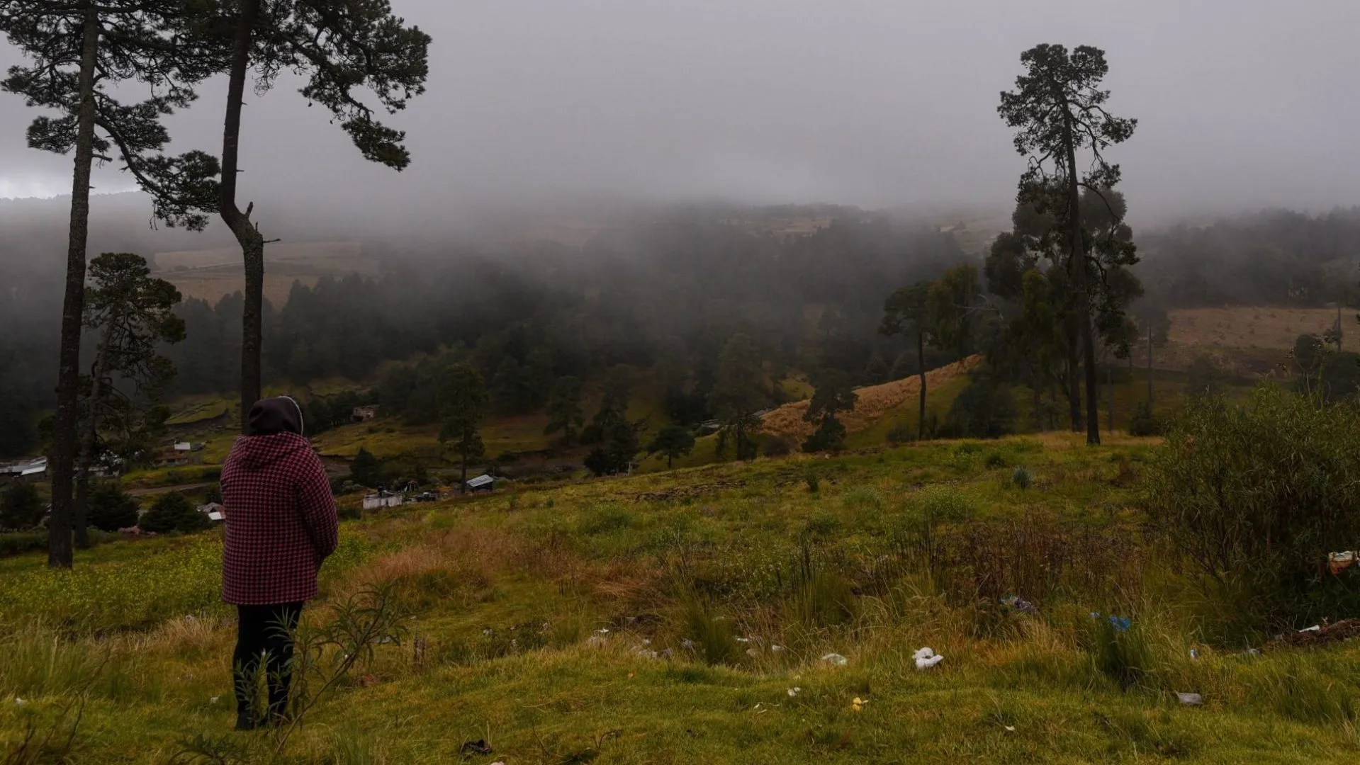 Bajas Temperaturas Persisten en el Estado de Hidalgo