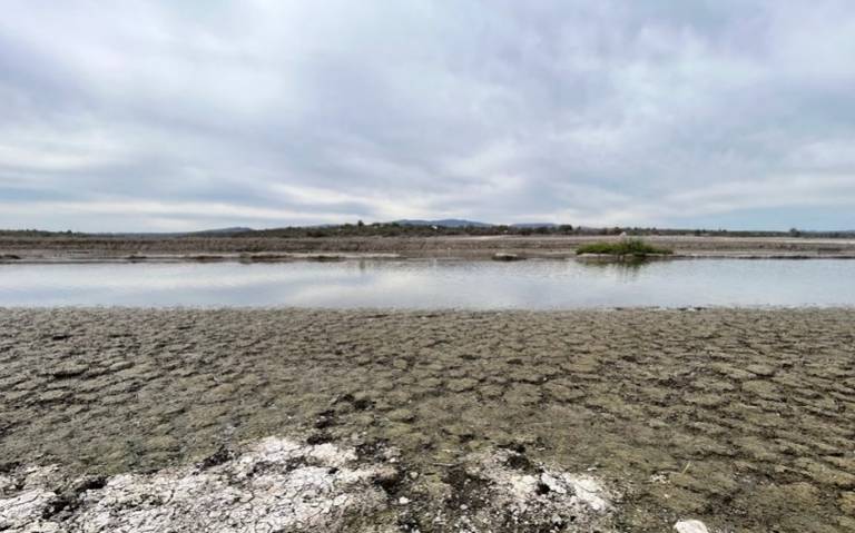 Crisis de Agua Amenaza la Producción Agrícola en Alfajayucan