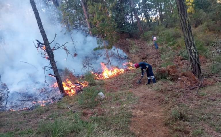 Alerta en Tulancingo por Temporada de Incendios Forestales