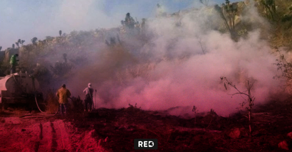 Inician Prevención de Incendios en Hidalgo