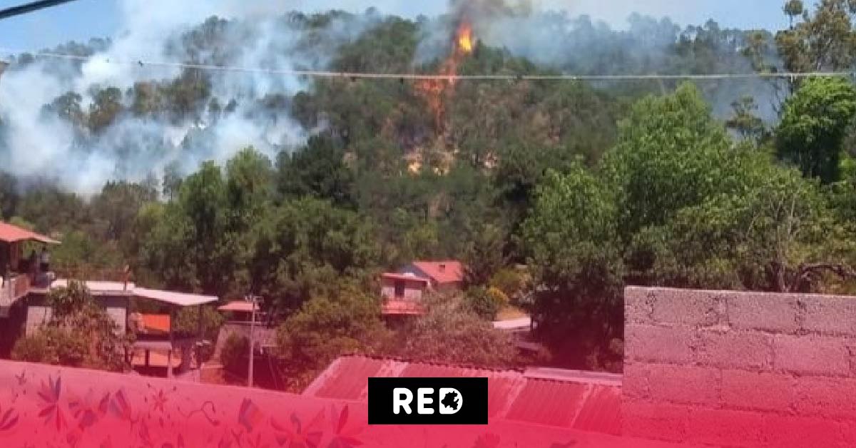 En alerta autoridades por incendios sin control en Hidalgo