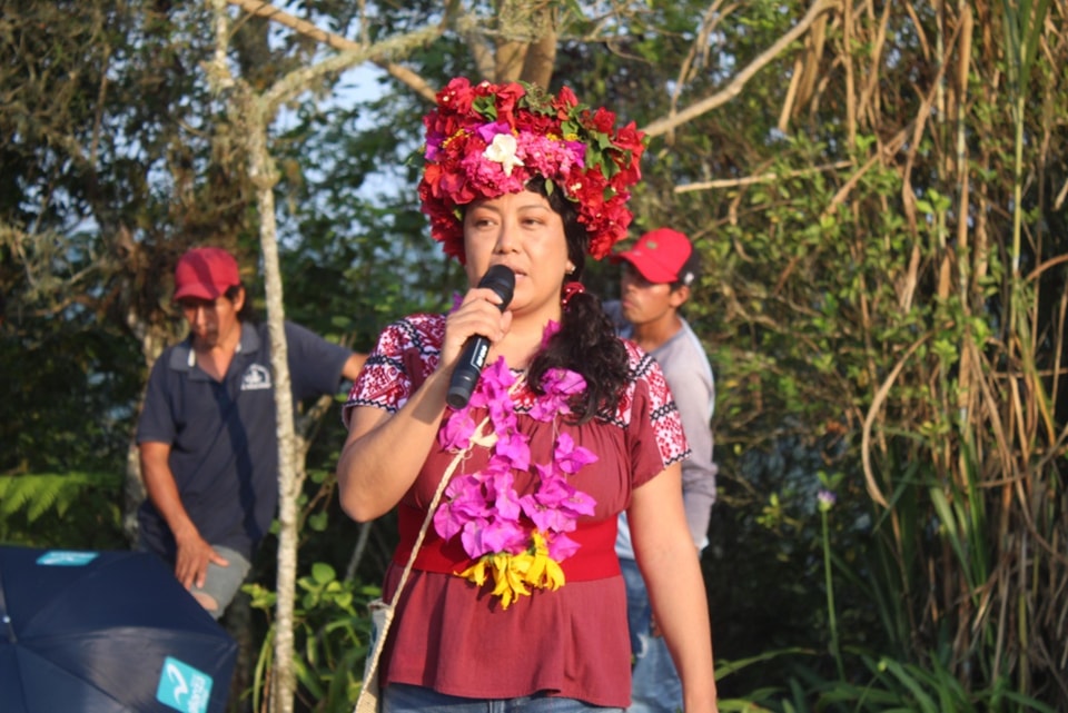 Es atacada Nora Aidhé en su casa de campaña en Tlanchinol