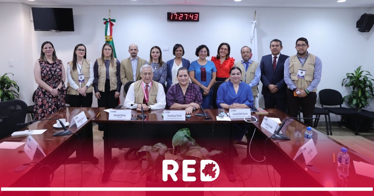  INE y OEA celebran reunión de acompañamiento y observación electoral