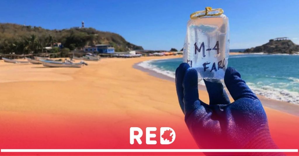 Cofepris alerta sobre las playas más contaminadas en México: Veracruz lidera la lista Cofepris alerta sobre las playas más contaminadas en México: Veracruz lidera la lista