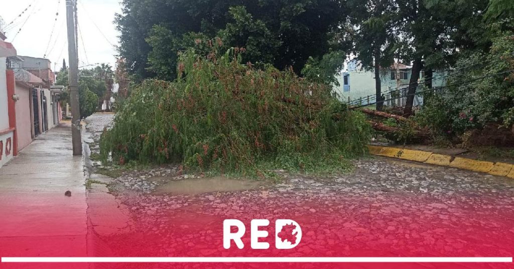 Lluvias intensas causan estragos en Ixmiquilpan: Autoridades piden tener precaución