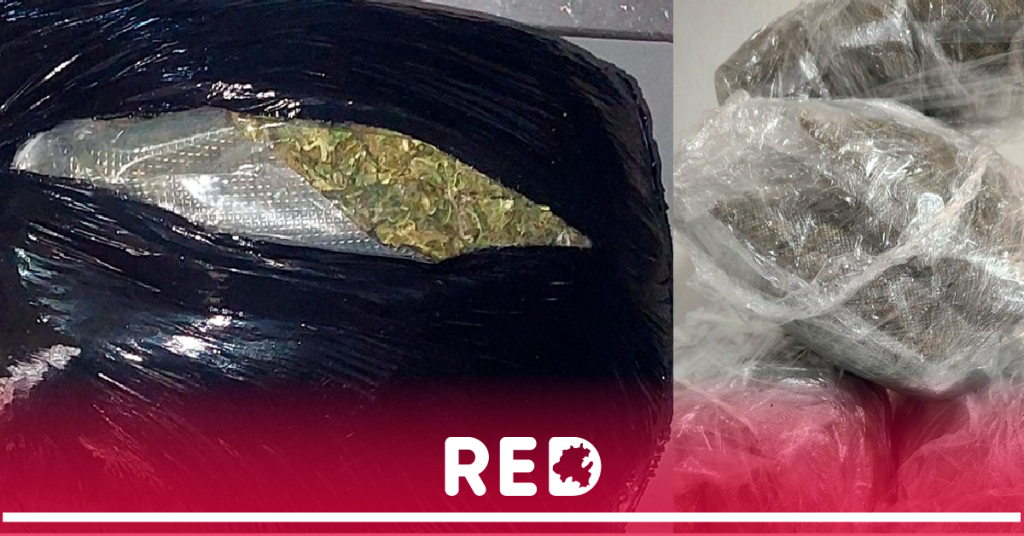 Hidalgo: Más de 600,000 dosis de marihuana y cristal decomisadas en casi dos años Hidalgo: Más de 600,000 dosis de marihuana y cristal decomisadas en casi dos años